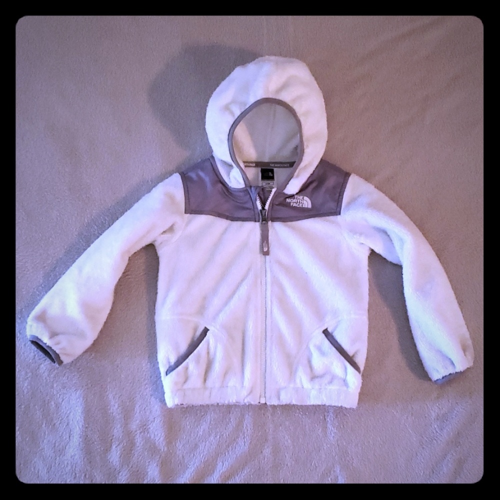 Toddler North Face Jacket